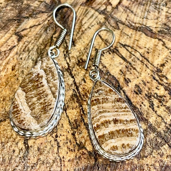 Teardrop Shape Aragonite Earrings 2” - Picture 9 of 10